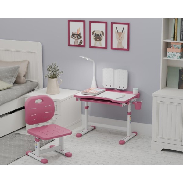 Фото - Комплект меблів шкільний Evo-kids Evo-17 PN Ergo